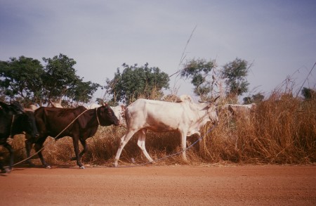 OUAGADOUGOU 2003 240.jpg