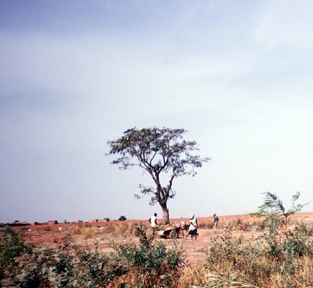 OUAGADOUGOU 2003 132 bis.jpg