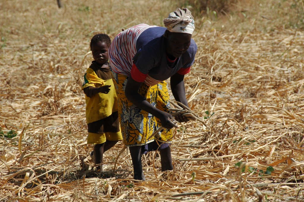 BURKINA NOV 2013 (1056)