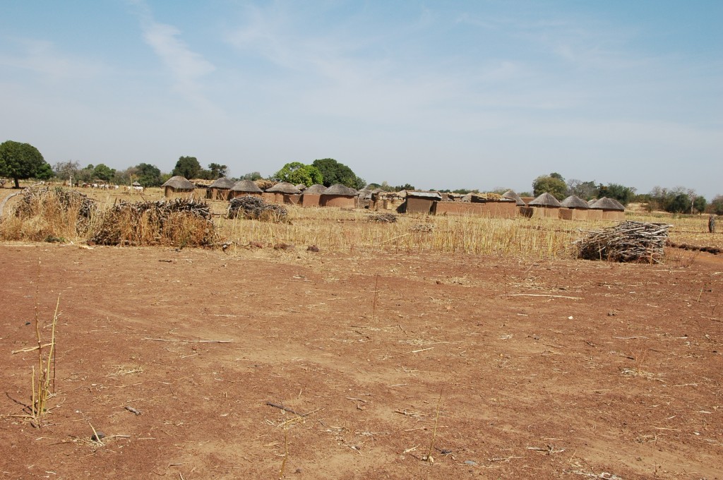 BURKINA NOV 2013 (1074)